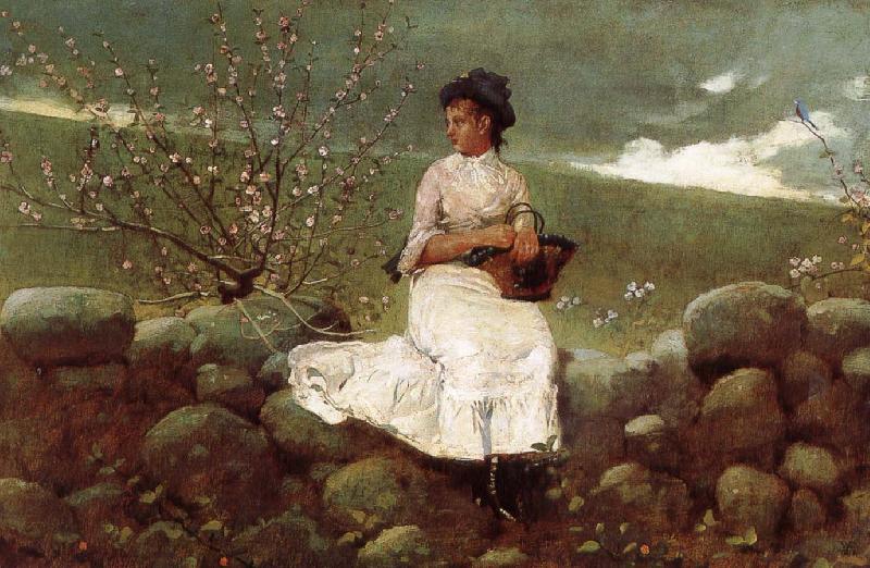 Winslow Homer Peach bloom oil painting image